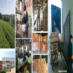  Thé Vert De Chine Fournit Par Grande Usine Oem - boissons non alcolisée etant auparavent usine de sous-traitance pour les n&eacute;gociants,  nous exportons directement nos produits depuis 2017.--en comparaison avec les n&eacute;gociants/traders,  nous sommes plus stable en qualit&eacute; et en contr&ocirc;le de prix.--collaborer avec nous,  vous b&eacute;n&eacute;ficiez d