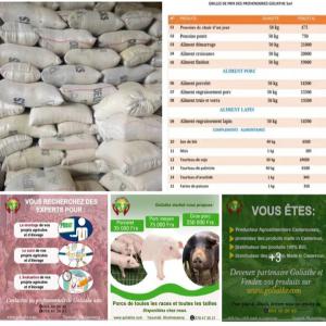  Produits Agro - conditionnement a la recherche des clients pret dans l'achat des produits agro alimentaires en quantit&eacute; enorme ou importante pour la transformatoon ou redistribution local j'insiste toit les aliments agro alimentaires maïs ris soja carrotes arachides pommes de terre poissons viandes tout types