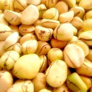  Recherche De Distributeur - café cacao thé bonjour  messieurs  et dames nous sommes  les colatiers  localiser  en côte d'ivoire  ,  nous recherchons  des partenaires  fiables  pour la distribution  de nos produits  sur le plan international  .--nous avons  à  notre disposition  plus de 1000 tonnes  de cola . --merci de nous conta