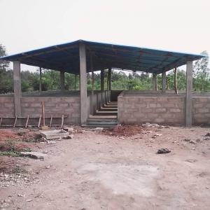  Exploitation Agro-alimentaires - Industrie exploitation j'ai une ferme de 08 hectares en titre &agrave; quelques km de bamako je cherche un partenaire pour qu'on puisse travailler ensemble &agrave; longue termes. le site est tr&egrave;s accessible &agrave; 3 km du goudron principal. la zones est plein d'opportunit&eacute;s &agrave; saisir c'est tr&egrave
