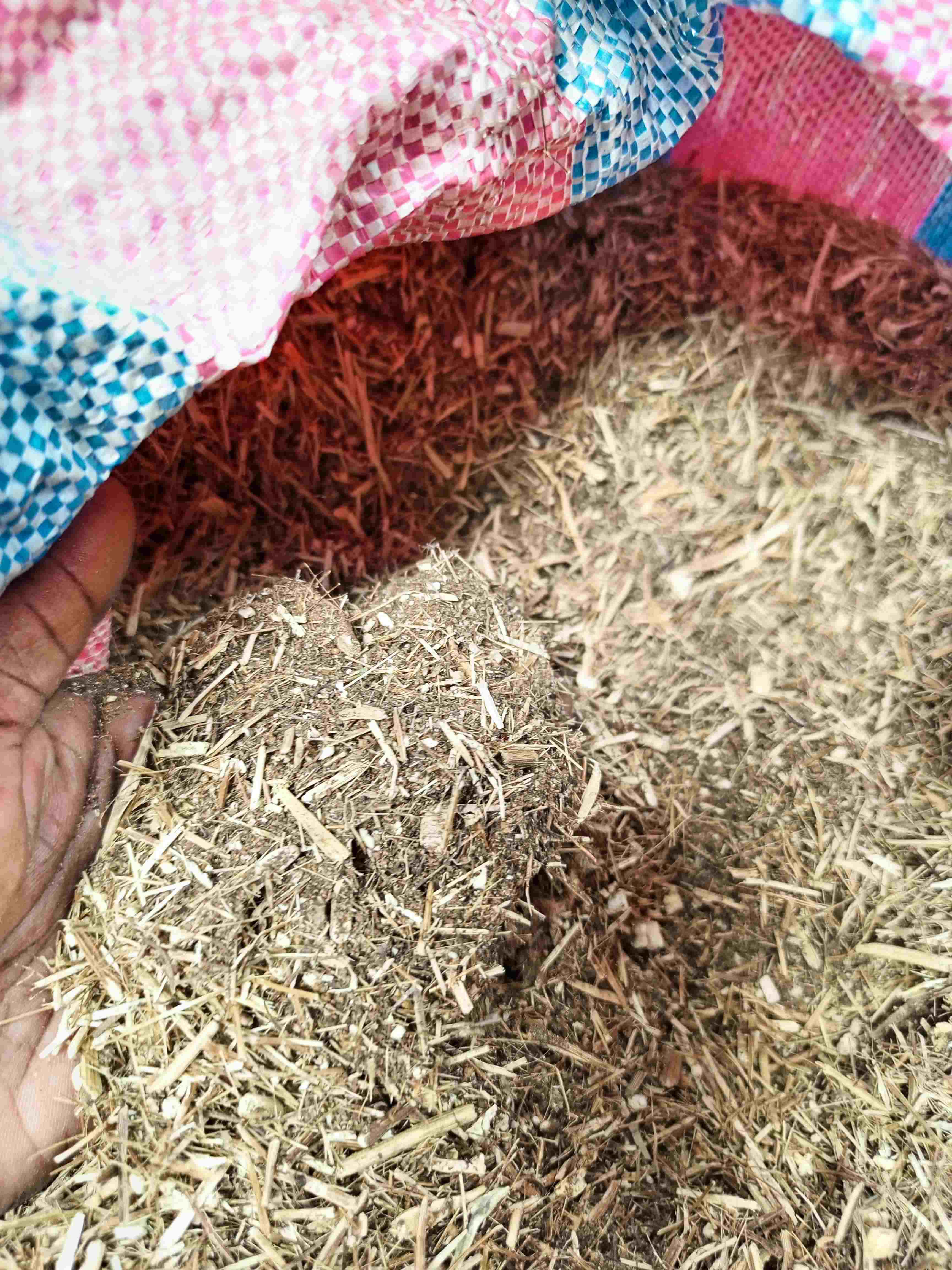  Tisane Bio Artemisia Annua En Déstockage - matiere vegetale 100 kilos de tisane artemisia annua de très bonnes qualités en provenance du togo. test de toxicité à jour,  production de septembre 2022. séchage et broyage fait.