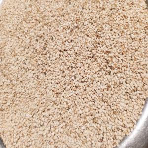  Sesame Souffle - céréales  vends s&eacute;same souffl&eacute; (blanc ou bigarre) . 120000 mt. origine afrique de l'ouest. prix cif 1550$ la tonne. trial de 200 mt 