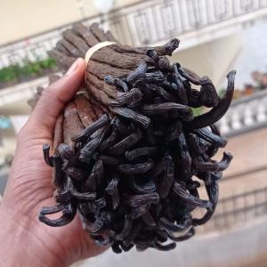  Supplier Of Best Vanilla Beans From Madagascar - aromatic spices would you like to import vanilla beans from madagascar . we provide high quality vanilla beans from the island country of madagascar at the best price and good quality also per your request for customers who want to start import we can supply any quantity don't hesitate to contact us for more deta