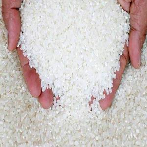  Besoin De Fournisseurs De Riz En Afrique - céréales nous recherchons des fournisseurs de riz d&eacute;j&agrave; en afrique de l'ouest. nous recherchons 10.000 tonne de riz.--riz- 25% brisure,  avant le 23/03. la destination est pour le mali.