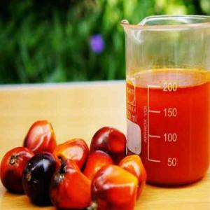  Huile De Palme Brut(huile Rouge) - huiles nous recherchons des clients et partenaires pour vendre l'huile de palme brute (huile rouge),  bonne qualit&eacute;/ quantit&eacute; &agrave; d&eacute;finir par le client/ conditionnement &agrave; d&eacute;finir par le client/ payement &agrave; d&eacute;finir par le client/ d&eacute;lai de livraison 