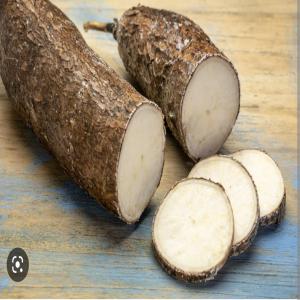  Manioc Pour La Chine - fruits et légumes bonjour,  nous avons besoin de fournisseur de manioc frais peux fournir 50.000t/mois pour 1an possible d'extension sur 2ans.--pas de paiement en avance payement par sblc le client est en chine et la livraison se fera au port de shanghai. --s'il vous plaît si vous n'etes pas pret ou vous n'etes 