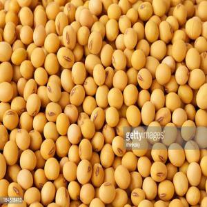 Soja, Sesame, Grain De Karite... - céréales connaissez vous le togo et ces &eacute;normes atouts en production et commercialisation de produits agricoles? je suppose que non. vous etes &agrave; la recherche de produits agricole comme soja karite sesame en grande quantit&eacute;? vous avez une pr&eacute;f&eacute;rence pour une vari&e