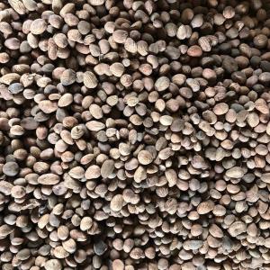 Export De Beurre De Karité Brut - matiere vegetale nous recherchons un partenaire qui souhaite acheter beurre de karité en quantité du tchad. nous pouvons fournir le produit transformé localement ou les graines pour transformation ultérieur.  