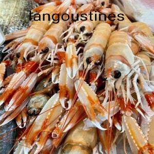  Poissons Frais De La Méditerranée - poissons nous sommes ste tunisienne notre spécialité est vente en gros les poissons frais et les crustacés et les mollusques frais uniquement de la mer méditerranée nous assurons le transport aérienne de tunisie a tout l'europe en vol direct 