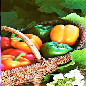  Recherche Des Clients Pour Négocier Le Marché - autres domaine concerné,  cacao; fruits et légumes.--cacao 150 tonnes fruits comme orange avocats... 50 tonnes légumes oignons ail piments aubergine voilette... 100 tonnes. 