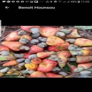  Produits Tropicaux - autres soja,  graines de coton,   noix de cajou,   karit&eacute;,   maïs,   mil,   tamarin,  s&eacute;same,   sorgho,  riz non d&eacute;cortiqu&eacute;...