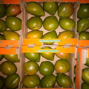  Mangue Du Mali - fruits et légumes  a tous le monde .ch&egrave;res membres de espace agro nous sommes une entreprise sp&eacute;cialis&eacute;e dans le domaine du import et export dans le cadre du collaboration avec la fili&egrave;re du mangue du mali (regroupement des producteurs exportateurs et agr&eacute;gateurs )nous cher