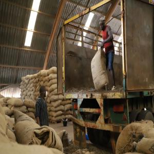  Recherche D'acheteurs Serieux Noix De Cajou - fruits secs et graines grillées noix de cajou brut crop 2023 quantit&eacute; disponible jusqu'&agrave; 25000 mt origine guin&eacute;e bissau sp&eacute;cifications nus counts 220 nuts / kg max outtburn 50 + lbs min packaging 80 kg jute bag port de chargement port de bissau inspection sgs ace prix fob 1200 us