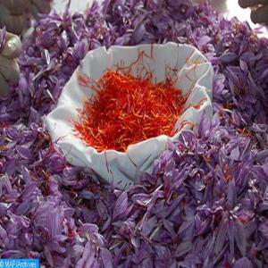 SAFRAN BIO DU MAROC - épices aromates safran bio de très bonne qualité,  constitué par des stigmates séchés de couleur rouge intense recourbés et fragiles mesurant entre 5 et 40mm. 