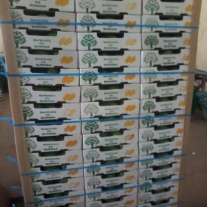  Mangue Amélie Et Kent Disponible - fruits et légumes nous sommes une soci&eacute;t&eacute; de production des mangues fra&icirc;che et s&eacute;ch&eacute; au burkina faso,  nous serons ravis de faire des bonnes affaires avec vous au meilleur et qualit&eacute;. merci.