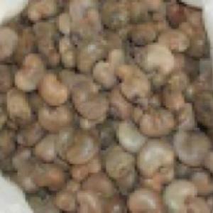  Ventes Des Graines D'anacarde (acajou) - fruits secs et graines grillées nous vendons des graines d'anacarde de qualité  (graines d'acajou),  disponibles. les graines sont dans des sacs de jute