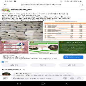  1000 Tonnes De Maïs Disponible - matiere vegetale  ..suite au manque de la disponibilit&eacute; recurente du maïs dans les entrepot voici nous avons pu palier a ce besoin en mettant a votre disposition des tonnes chaque semaine pour vous satisfaire comme null part ailleur ..nous sommes au cameroun