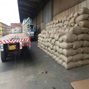  Noix De Cajou Décortiquée Et Brut - céréales des noix de cajou d&eacute;cortiqu&eacute;e d'origine burkinab&eacute; toutes grades disponibles noix de cajou kor 44 &agrave; 42 disponible en stock 250 tonnes disponible imm&eacute;diatement et possibilit&eacute; de vous fournir la quantit&eacute; dont vous pourriez avoir besoin. entrep&ocirc