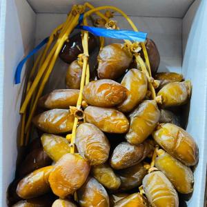  Deglet Nour - fruits et légumes producteur algerien de dattes  deglet nour  a la recherche des clients russes,  malaysians,  français,  usa,  uk,  indiens et saoudien ext..