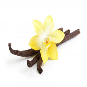 Recherches de clients sur un minimum de 50kg  - pices aromates fournisseur et distributeur de vanille de madagascar. --nous sommes en partenariat directe avec les producteurs,  collecteurs de vanille.--nous gérons vos imports à partir de 50 kilos jusquà plusieurs tonnes.--pour toute information concernant nos produits nhésitez pas &