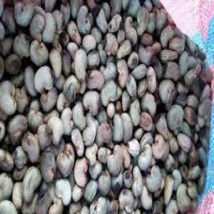  Noix De Cajou Brute - fruits secs et graines grillées bon jour , nous somme une soci&eacute;t&eacute; de l'afrque de l'ouest grossiste en noix de cajou brute selon la quantit&eacute; demander avec comme mode de paiement de banque en banque (lettre de cr&eacute;dit ) ou le cash and carry .nous somme ouvert au n&eacute;gociations et autre. pour tout besoi