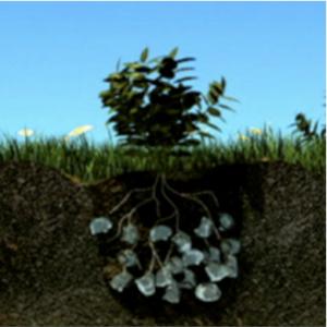  Gelviter Hydro-rétenteur-fertilisant-curatif - chimie additif engrais notre soci&eacute;t&eacute; &oelig;uvres dans les domaines de la revitalisation des terres et sol en stress hydrique.notre solution est une base d'hydro r&eacute;tenteur fertilisant curatif la vocation de ce produit est de permettre en premier lieu une ma&icirc;trise d'eau irrigation 