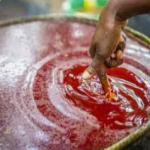  Huile Rouge De Palmes Provenance Guinée - huiles nous recherchons pour notre contacte un client qui est intéressé par l'achat huile rouge en quantité  depuis la guinée conakry