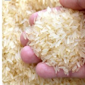  Riz -ir 64 Et Toutes Variétés De Riz - céréales vends riz ir64 etuvage 5% casse origine inde trial 200 mt minimum avec obligation de garantie bancaire prix $.&agrave; voir suivant quantit&eacute; prix cif instrument bancaire sblc ou lc &agrave; vue confirm&eacute;e transf&eacute;rable divisible et irr&eacute;vocable contrat annuel