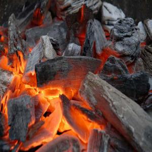  Charbon De Bois Pour Bbq - bois charbon fibre charbon de bois pour bbq--bois de chene et hetre --excellente qualite----packaging kraft---5kg--10kg--15kg--25kg--commande minimale- camion 16 tonnes--prix- 0, 99 centimes 1 kg.--origine ukraine ----si vous voulez,  nous avons la possibilite de mettre votre logo et design sur le packaging ----