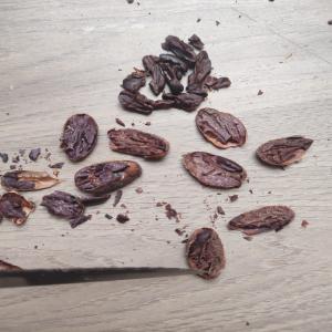  Cacao Le Criollo - café cacao thé  cacao le criollo directe production avec l'agriculteur c'est notre r&eacute;colte. prix fob port pointe noire  pour le prix cif il faudra que les clients fasse une loi.  petite saison. conditionnement sac de 65kg 80kg 100kg. sur demande durant la grande saison on peut aller 