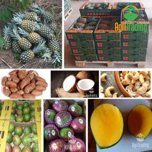  Produits Frais De Cote D'ivoire - fruits et légumes soci&eacute;t&eacute; sp&eacute;cialis&eacute;e dans l'exportation de produits frais origine cote d'ivoire. ananas vari&eacute;t&eacute; md2 sweet par bateau ou avion quantit&eacute; selon besoin du client. production toute l'ann&eacute;e. mangue vari&eacute;t&eacute; kent par bateau ou avion. quant
