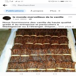  Vanille Bourbon De Madagascar - épices aromates  je viens de madagascar je cherche des clients des partenariats ou d'acheteurs de vanille et &eacute;pices de madagascar nous avons des vanille tr&egrave;s bonne qualit&eacute;s petites ou grande rouge noir souple aromatis&eacute; et des &eacute;pices vari&eacute;s selon vos besoins
