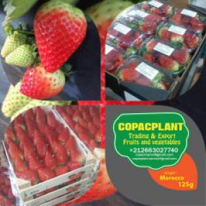  Fruits Rouge - fruits et légumes disposant des fruits rouge tel que ------fraise---framboise---mertyle----contacter nous pour plus d info.