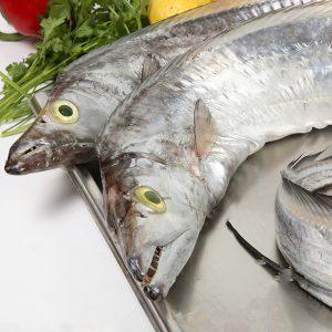  Poisson Frais Et Congeles - poissons     le maroc est connue dans le monde entier de sa qualit&eacute; et quantit&eacute; de poisson atlantique et m&eacute;diterran&eacute;e ,  nous sommes soci&eacute;t&eacute; sp&eacute;cialiste de commerce et export de toute sorte de poissons frais et congel&eacute;s pour le monde entier