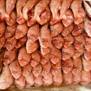  Poisson Rouget - poissons je dispose de 04 conteneur de poisson rouget congelé bord grande taille si intéressé merci de me joindre. bien cordialement 