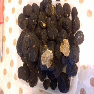  Truffe Aestivum - champignon levure  je cherche du partenariat pour la saison d&eacute;but mai truffe tuber aestivum de bulgarie . nous pouvons fournir des bons quantit&eacute;s par jour . pas s&eacute;rieux s'abstenir svp . 
