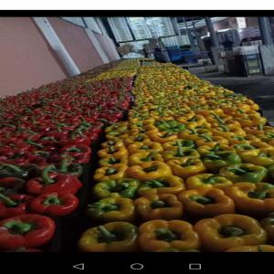  Fruits Et Légumes Marocain - fruits et légumes je vends des fruits et l&eacute;gumes marocain faites vos commandes ne manquaient pas les opportunit&eacute;s qui s'offrent &agrave; vous 