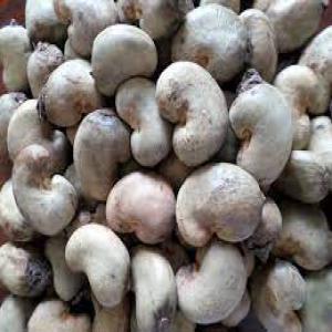  Contrat 500 Tonnes Cajou Brut 48 Lbs - fruits secs et graines grillées  voici contrat &agrave; prendre 500 tonnes de cajou brut 48 lbs 190 nutcount en fob paiement lc transf&eacute;rable contre les documents ou sblc contre les documents au choix du vendeur. prix recherch&eacute; entre 650 et 700$ / tonne veuillez nous contacter que si vous r&ea