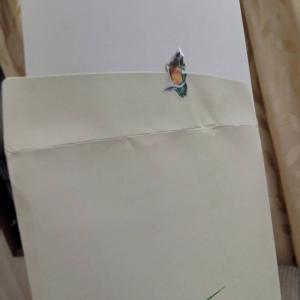  Papier A4 75g,. Printing Paper A4, 75g - autres nous sommes une société import export basée en région parisienne. nous vous pouvons vous fournir des papiers ram a4 75g directement d'usine ,  papier composé à 100% de fibre de canne à sucre, 0% de fibre d'arbre,  et 0% d'eau de javel chimique. --notre p