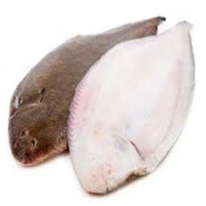  Soles - poissons      nous sommes une entreprise sp&eacute;cialis&eacute;e dans la vente de poisson  a l international et export-import,  nous recherchons des clients int&eacute;ress&eacute;e par les poisson frais et congel&eacute;s .