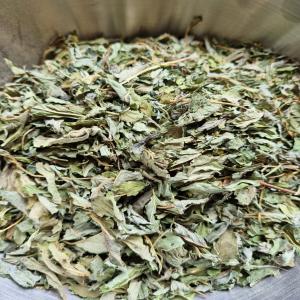  Feuilles De Ambunu 50 /k (ceratotheca Sesamoides) - horticulture plante biocarburant feuilles de ambunu (ceratotheca sesamoides) riche en prot&eacute;ines vitamines et min&eacute;raux. poss&egrave;de des caract&eacute;ristiques antioxydantes &eacute;mollientes et anti inflammatoires naturelles. utilisation en soin capillaire infuser dans de l'eau chaude. au contact de l'eau 