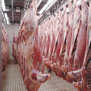  Viande Blanche Et Rouge De Qualité - viandes et oeufs nous sommes une entreprise sp&eacute;cialis&eacute;e dans l'import/export de viande de qualit&eacute; sup&eacute;rieure,  notamment de viande rouge et blanche. nous travaillons avec des &eacute;leveurs locaux pour garantir que notre viande est fra&icirc;che,  tendre et savoureuse. contactez-nous d&egr