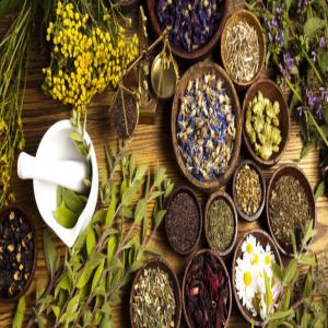  Acheteur Plantes Et Huiles Médicinales Bio - autres je suis tunisien de nationalité,  je travaille dans le domaine des plantes médicinales et la phytothérapie.--je peux vous fournir regulièrement les plantes de la liste ci dessous et bien d'autres.--en forme séches ou bien sous forme de l'huile essentielle.--notez bi