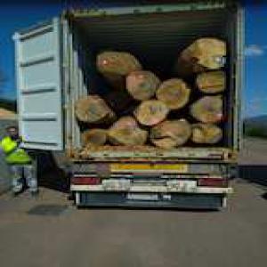  Grumes Chene Hetre Frene - bois charbon fibre 300m3 de chene hetre frene diam 30 et + qualit&eacute; a/b/c  transport ou chargement container possible 