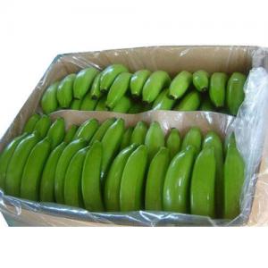  Green Bananas - fruits and vegetables we are looking for an experienced supplier of bananas from west africa.--we are looking for green bananas packed in 18 kg cartons. price cif koper/slovenia. we are looking for 100 tons .--contacte us if are able to supply this quantity .