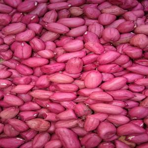 Looking For 10.000 Tons Of Peanut - roasted seeds and nuts we are looking for  10 000 tons of peeled peanut from madagascar ready for export.--nous recherchons une quantité de 10 000 tonnes d'arachide rouge de madagascar.--nos besoins- prix cif qingdao port,  10 000 tonnes d'arachides pret à etre exportés