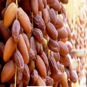  Dattes Tunisiennes - fruits et légumes nous vous proposons des dattes tunisiennes (deglet nour) de haute qualit&eacute; pour l exportation. nous pouvons fournir une quantit&eacute; importante avec un prix comp&eacute;titif. si vous etes int&eacute;ress&eacute; n h&eacute;sitez pas &agrave; nous contacter. 