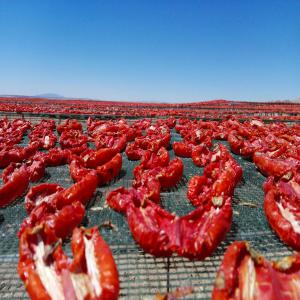  Tomate Et Oignon Séché - fruits et légumes entreprise qui à démarré dans le domaine de l'agriculture depuis 2015 par le conditionnement des fruit et légumes dans les chambre frigorifique sise à la zone verte de sidi-bouali sousse.--aujourd'hui agri-food tunisia se décide de se lancé dans le do