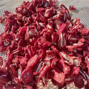  Tomate Séchée Naturelle - fruits et légumes disponible tomate naturelle s&eacute;ch&eacute;e par effet de soleil--pour toute demande d'informations veuillez nous envoyer par mail