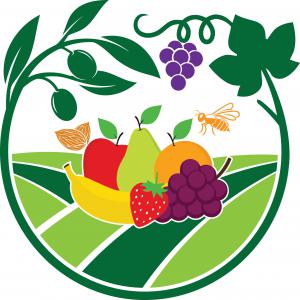  75 Hct Fermes Divers Fruits Region Rabat - mine terrain concession je met en vente une ferme de 75 hectare divers fruits pas loin de la mer bien &eacute;quipe &eacute;lectricit&eacute; des puits des bassins d irrigation; passage pour les v&eacute;hicules  pas lois de la ville 0. plus d infos contacter moi sur mon watsup.